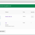 Flexi BOGO for WooCommerce - Buy X Get Y